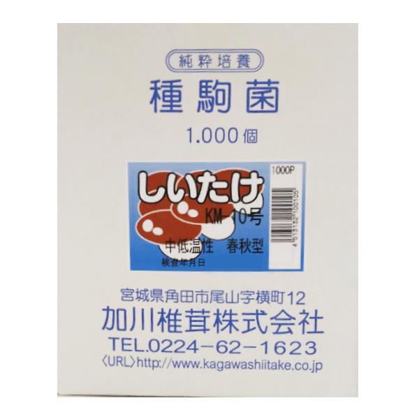 【きのこ種駒菌】加川 しいたけ菌 KM-10号（1000駒）＜中低温性＞春・秋型 種菌（Yahoo!・農家のお店おてんとさん）