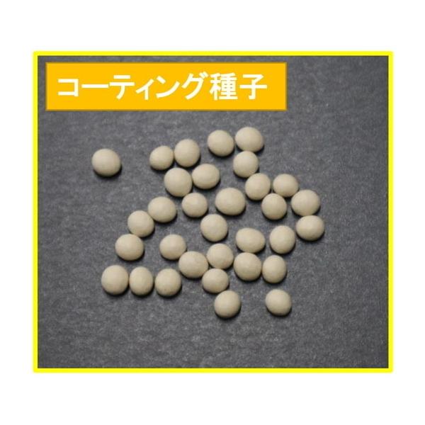 みのる産業 簡易播種機 ハンディ播っく G-8 コート種子専用 4種類(3S/S