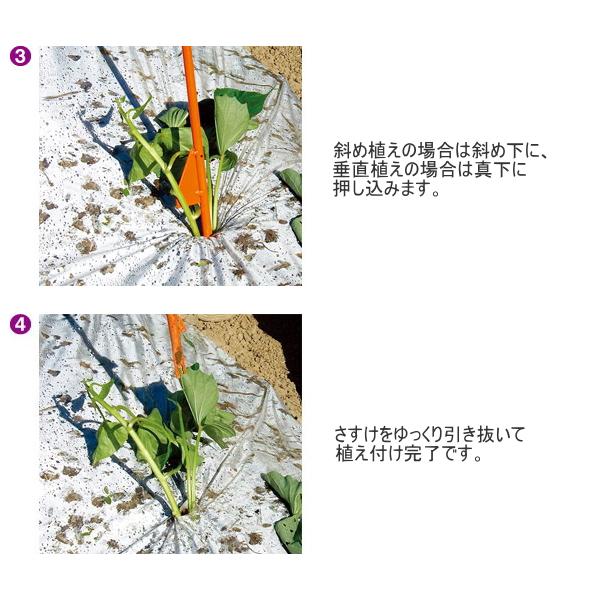 サンエー かんしょ植付器 さすけ AP-02 甘藷 さつまいも 苗挿し棒