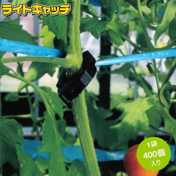 新潟市の蔵出し品 発掘品 大鉢 新潟市の蔵出し品 発掘品 大鉢 新潟県埋蔵文化財センター