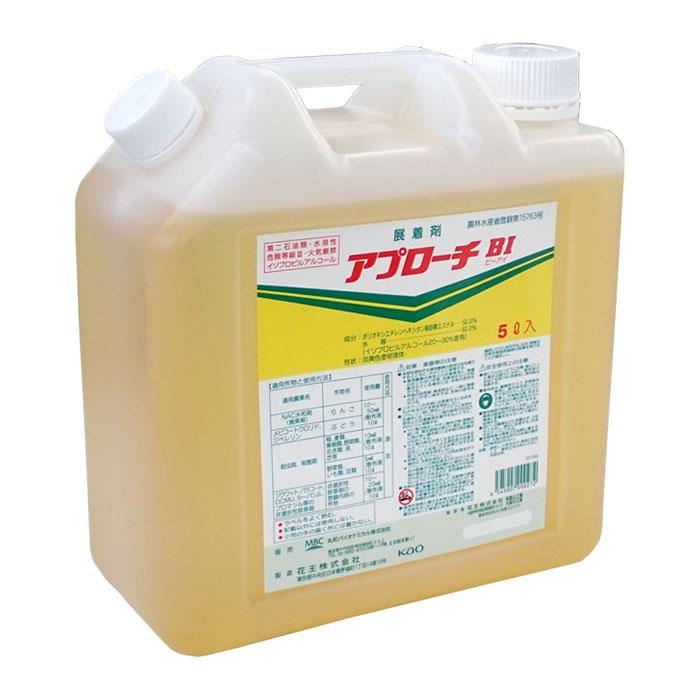 アプローチBI　5L