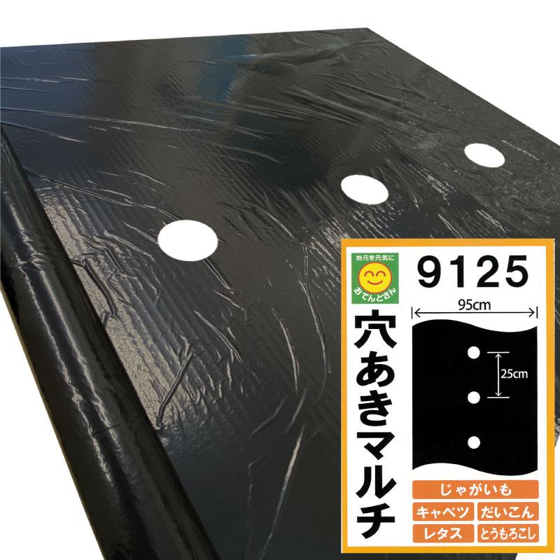 穴あき黒マルチ 9125 厚0.02mm×幅95cm×長200m 穴あきマルチ 穴あき黒マルチ 9125 厚0.02mm×幅95cm×長200m 穴あきマルチ