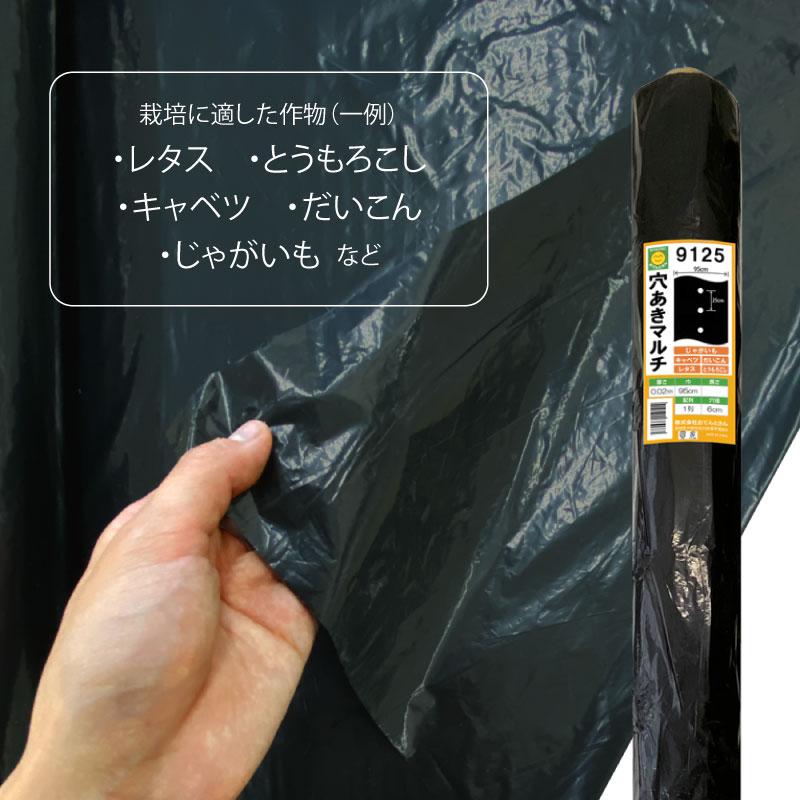 穴あき黒マルチ 9125 厚さ0.02mm×幅95cm【長さ選択】50m／200m 60mm孔