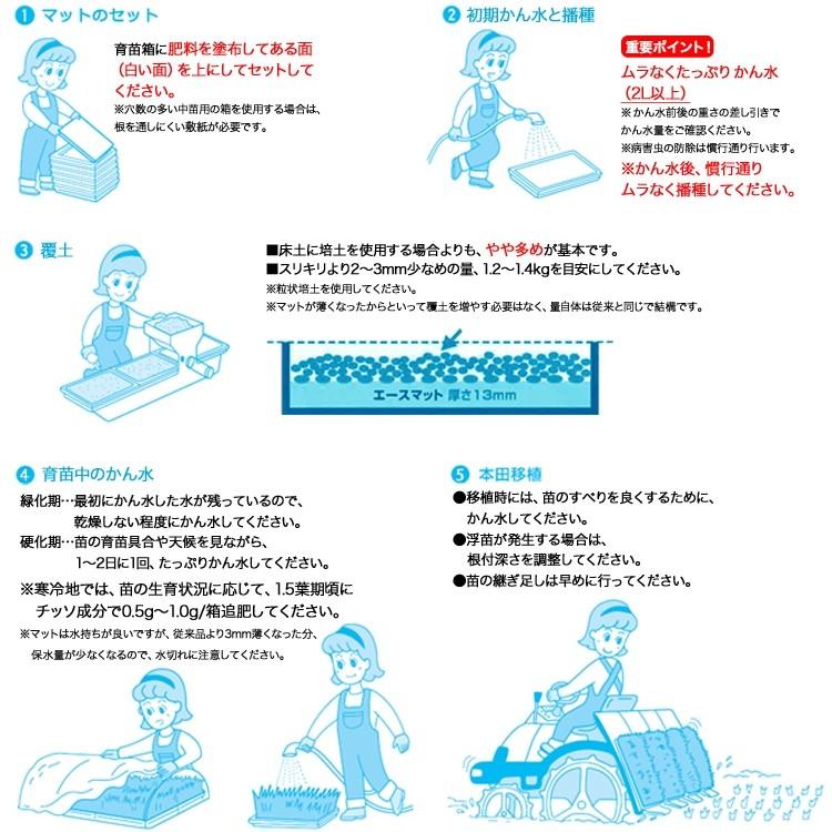 水稲育苗用ロックウールマット エースマット Nタイプ (一般用) 30枚入