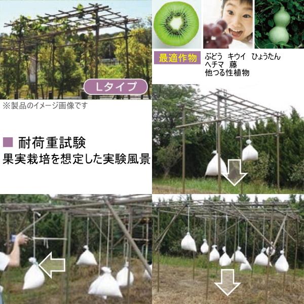 積水樹脂 果樹棚 フルーツパーゴラ L ブラウン(木目調) 組立キット品 