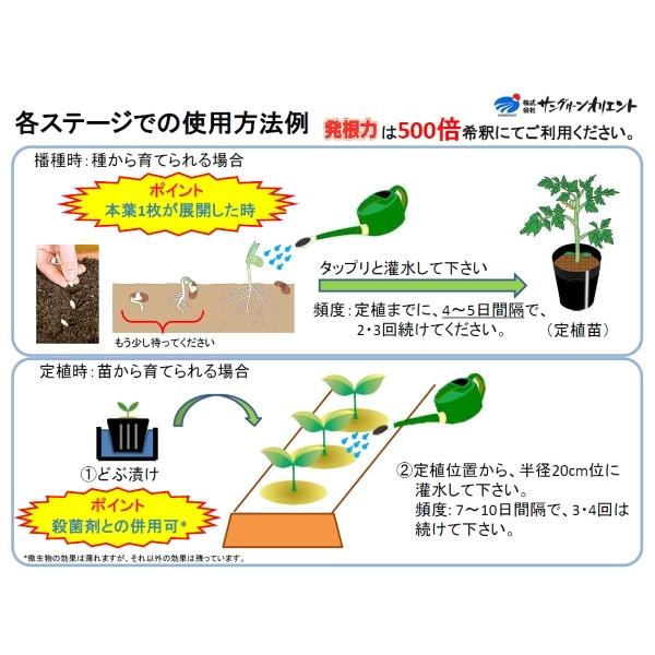 発根剤込み 発根剤付き 発根剤付き NTT西日本】SmartNetcommunity αZX Home（情報機器