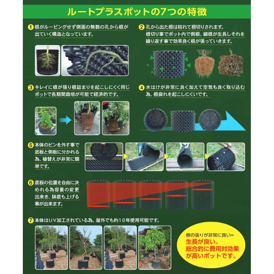 ルートプラスポット GS-AP250M 12L 果樹 観葉植物 多肉植物 緑化樹栽培