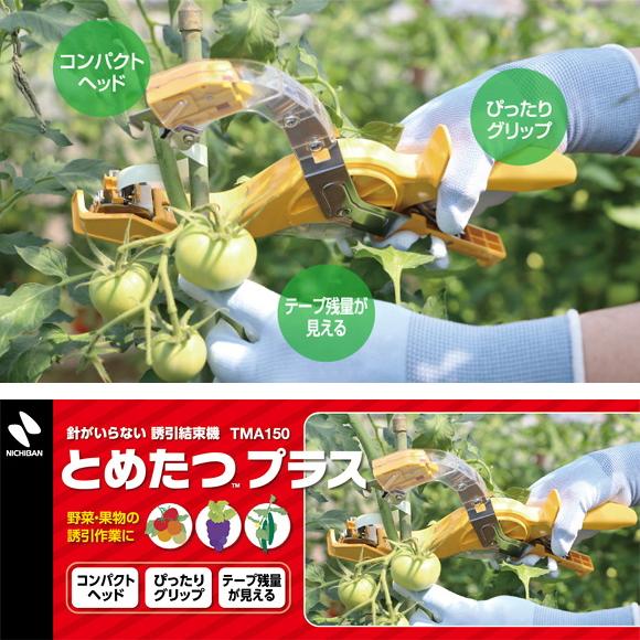 楽天市場】(2点セット) とめたつライト&とめたつテープ (10巻