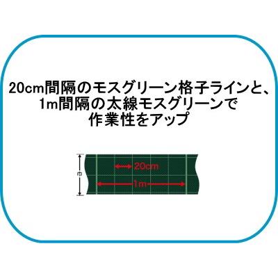 日本ワイドクロス 強力アグリシート BB2218 (防草シート) 黒 幅 日本ワイドクロス 強力アグリシート BB2218 (防草シート) 黒 幅