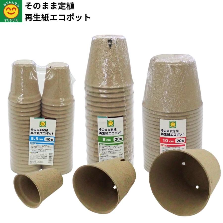 そのまま定植 再生紙エコポット 5.5cm/8.0cm/10.0cm : 農家のお店お