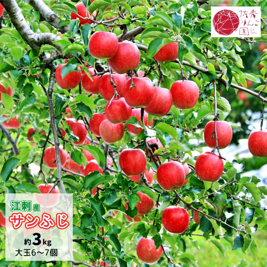 専用出品 サンふじ ２０ｋｇ 岩手県産 減農薬栽培 りんご 美味! 専用出品 サンふじ 20kg 岩手県産 減農薬栽培 りんご 美味! 特別