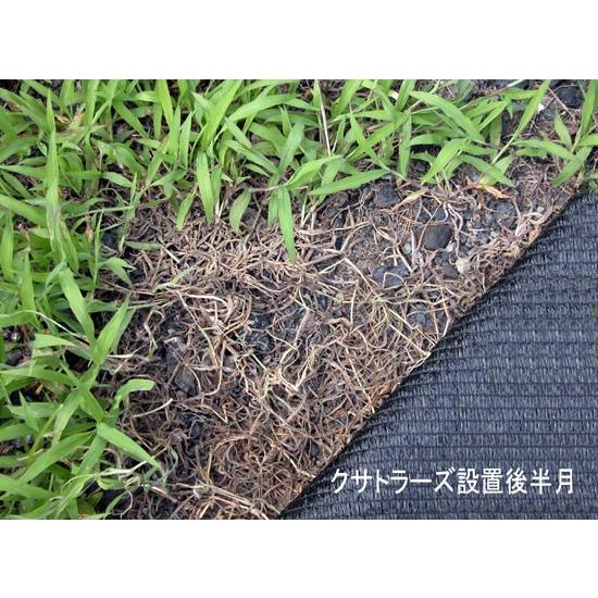 望月編織工業株式会社　YM 防草ネット クサトラーズG　緑×黒　幅200cm×長さ50m｜otentosun｜02