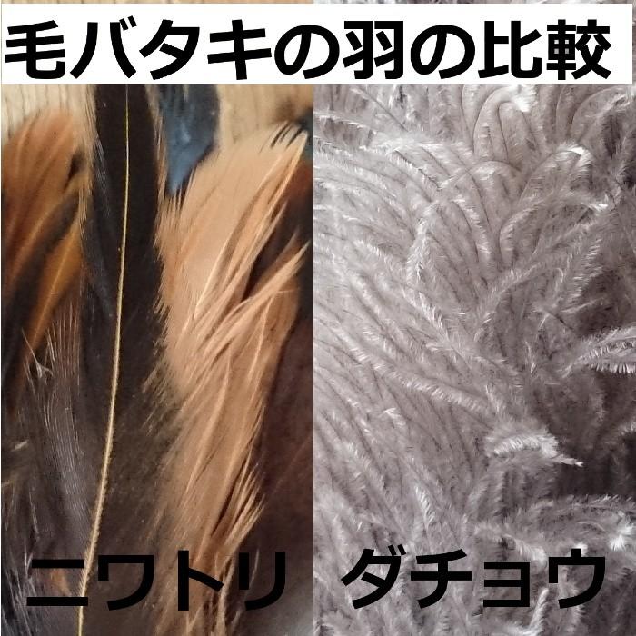 羽はたき 車 自動車 の商品一覧 車 バイク 自転車 通販 Yahoo ショッピング