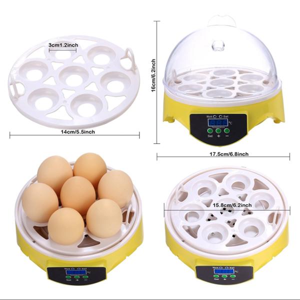 孵卵器 インキュベーター 鳥類専用 手動転卵 ふ卵器 ふ化機 7個 孵卵器 インキュベーター 鳥類専用 手動転卵 ふ卵器 ふ化機 7個