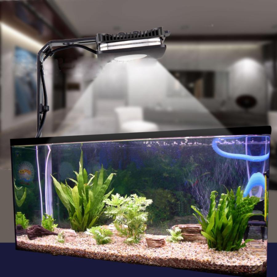 即日発送 海水魚用 アクアリウムライト LED 水槽ライト 水槽照明 COB 30W 熱帯魚 海水 観賞魚 珊瑚 サンゴ 水草 調光機能付き 白色 45cm-60cm 送料無料 :BB135-80:よろず屋 - 通販 - Yahoo!ショッピング 即日発送 海水魚用 アクアリウムライト LED 水槽ライト 水槽照明 COB 30W 熱帯魚 海水 観賞魚 珊瑚 サンゴ 水草 調光機能付き 白色 45cm-60cm 送料無料 :BB135-80:よろず屋 - 通販 - Yahoo!ショッピング