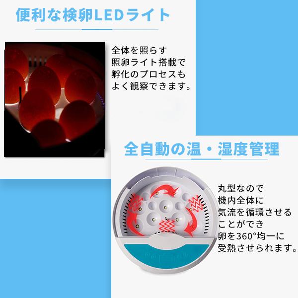 自動孵卵器 インキュベーター LED 自動孵化器 検卵ライト内蔵 鳥類専用