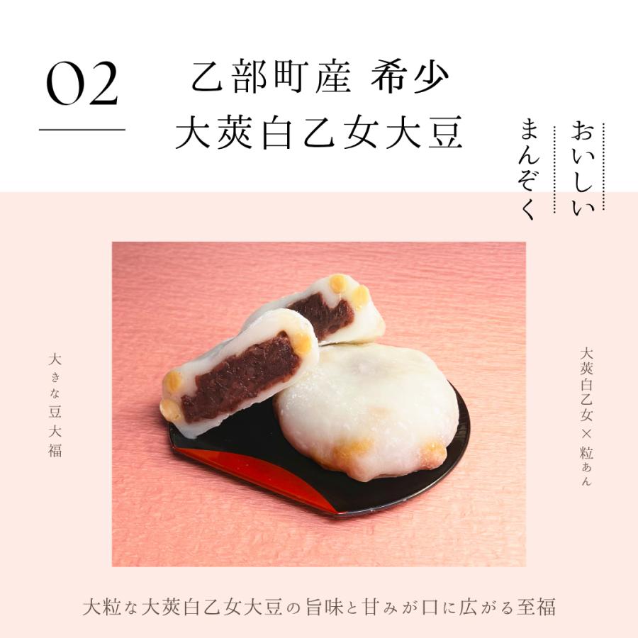 送料込み】おとべ大福 4個入り 冷凍 北海道産 豆大福 粒あん 大きな