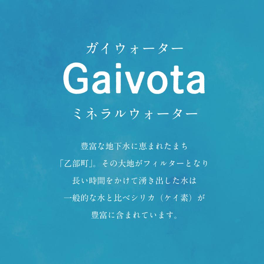 Gaivota 2L 1箱 6本入 天然 シリカ水 ミネラルウォーター 美容 ミネラル シリカ ガイヴォ―タ 天然水 軟水 |  | 02
