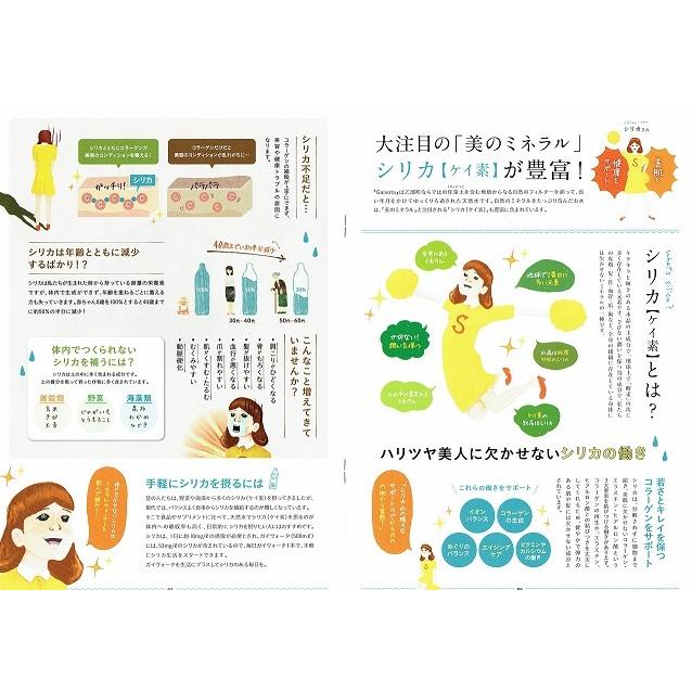Gaivota 2L 1箱 6本入 天然 シリカ水 ミネラルウォーター 美容 ミネラル シリカ ガイヴォ―タ 天然水 軟水 |  | 05