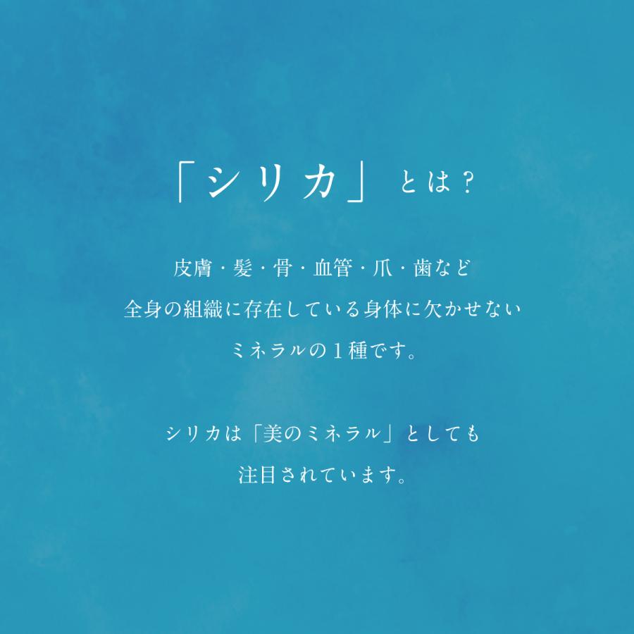 Gaivota 2L 1箱 6本入 天然 シリカ水 ミネラルウォーター 美容 ミネラル シリカ ガイヴォ―タ 天然水 軟水 |  | 03