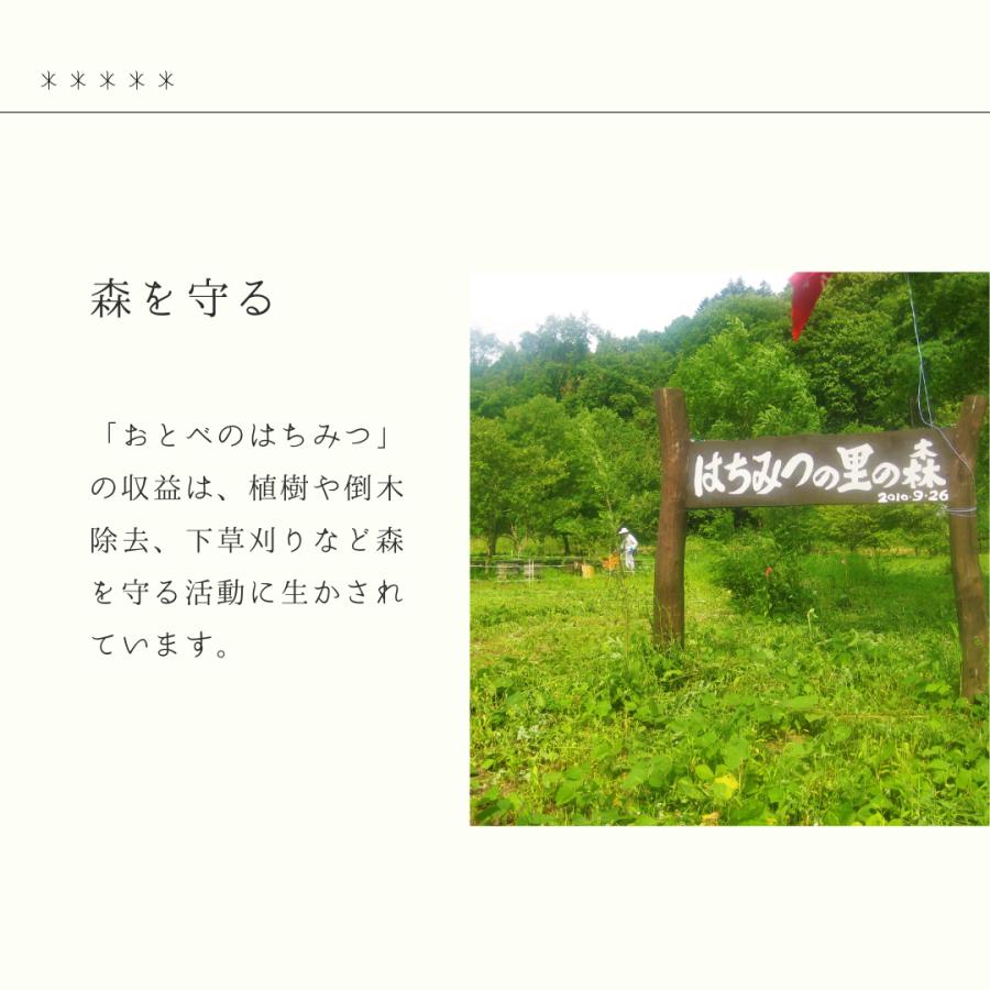 北海道産 おとべのはちみつ 10g×30袋（箱入り） 国産 蜂蜜 乙部産 非加熱 アカシア トチ ソバ はちみつ 生はちみつ 100% 天然蜂蜜 小袋 1回分 ギフト |  | 11