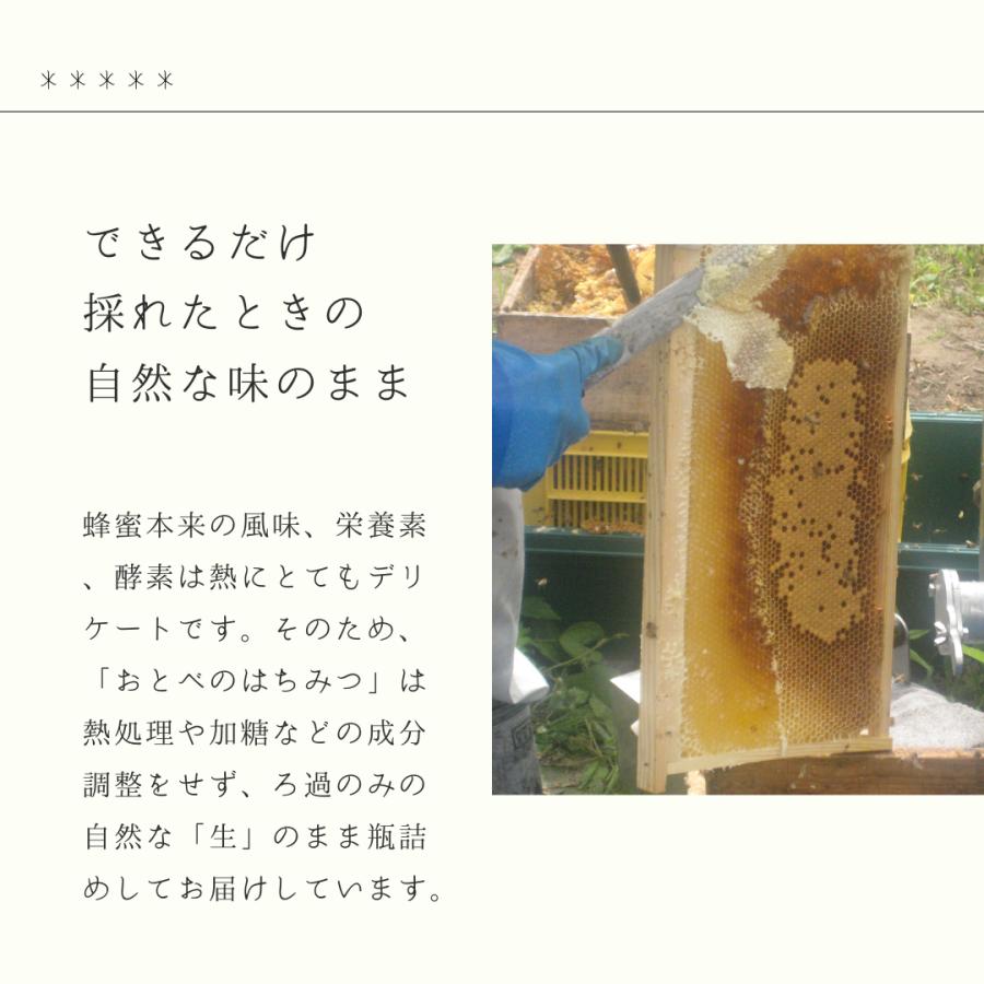 北海道産 ソバ 10g おとべのはちみつ 国産 蜂蜜 乙部産 非加熱 はちみつ 生はちみつ 100% 天然蜂蜜 小袋 1回分 お試し |  | 07