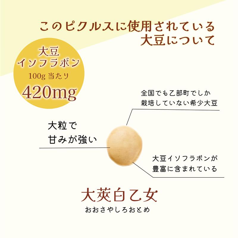 マダムのすづけ 大莢白乙女大豆 ピクルス レモン＆フェンネル 地大豆 北海道産 乙部町産 国産 豆 白大豆 ハーブ |  | 02