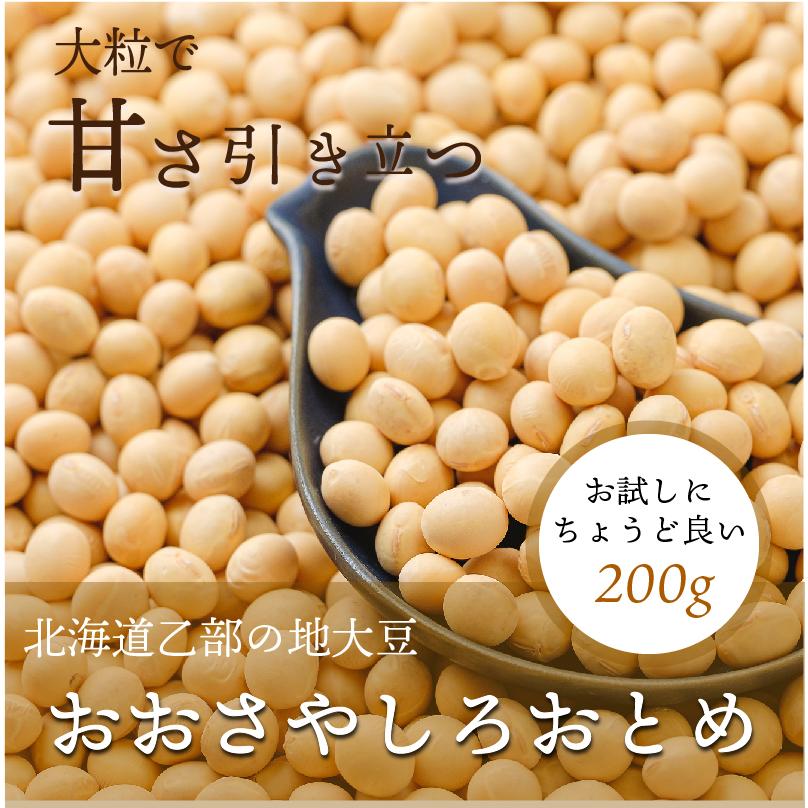ころぽっくる 白大豆 10kg 大莢白乙女 200g 1個 令和6年度産 北海道産 白大豆 地大豆 国産 乙部