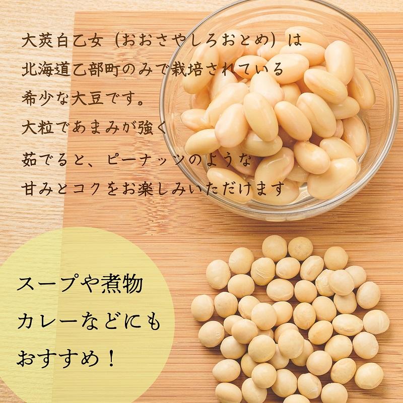 大莢白乙女 200g 1個 令和6年度産 北海道産 白大豆 地大豆 国産 乙部