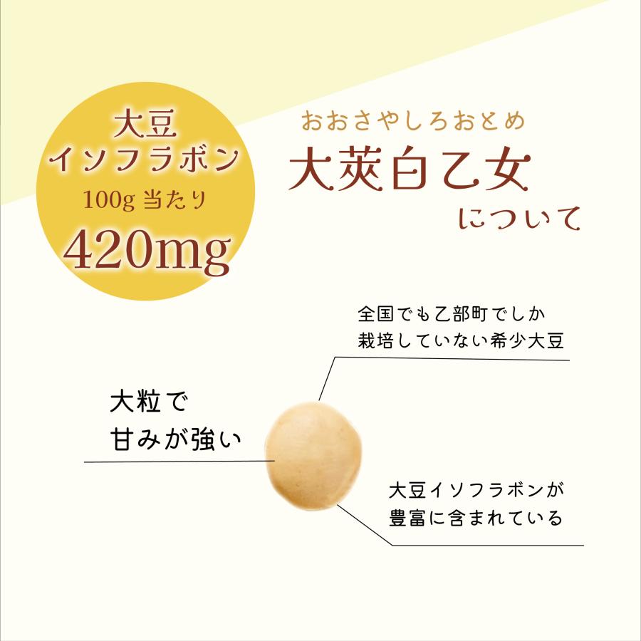 大莢白乙女 200g 1個 令和6年度産 北海道産 白大豆 地大豆 国産 乙部