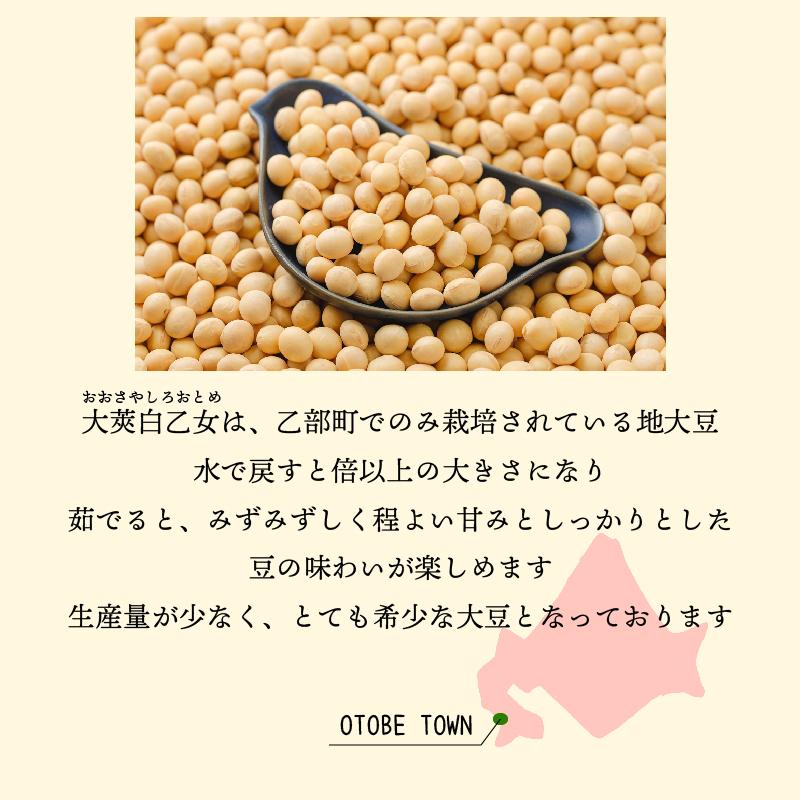 送料込み】大莢白乙女 200g 2個 令和6年度産 北海道産 白大豆 地大豆