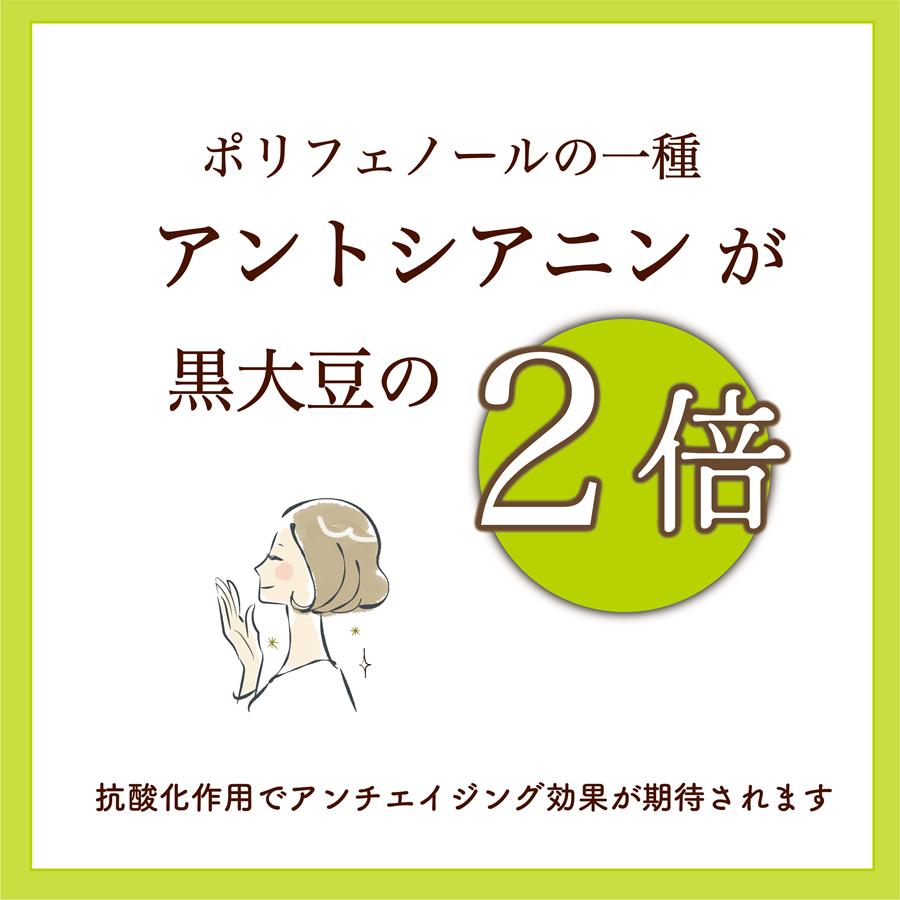 【送料込み】おとまめ＜黒糖＞ 北海道 黒千石大豆 原種 乙部町産 黒豆 煎り豆 サクサク 小分け 国産 お菓子 おつまみ タンパク質 ポリフェノール アントシアニン |  | 04