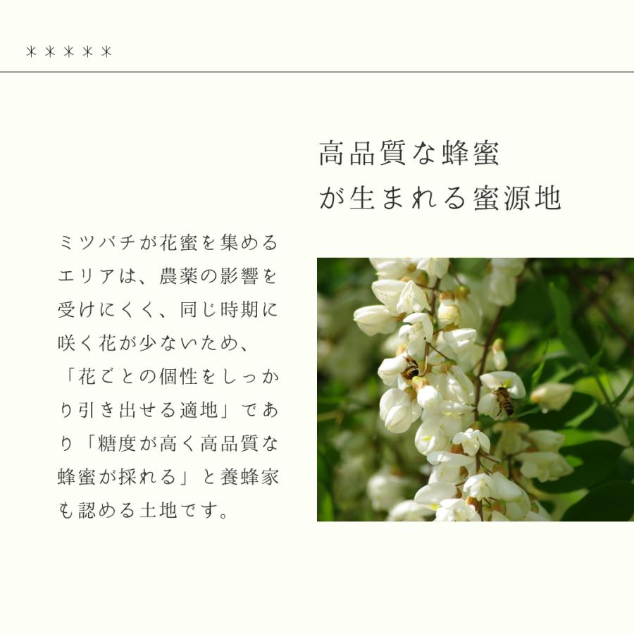 【2024年産】北海道産 シナ 500g おとべのはちみつ 菩提樹 国産 蜂蜜 乙部産 非加熱 はちみつ 生はちみつ 100% 天然蜂蜜 |  | 05