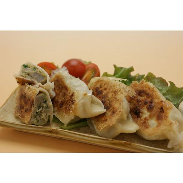 【仲田精肉店】餃子　45個入り 餃子は中身も皮も手づくり。まごころ豚をプラスして皮からネタまで独自の配合。本格派のもちもちでジューシーなジャンボ餃子 | 