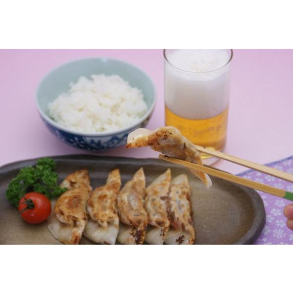 【仲田精肉店】餃子　45個入り 餃子は中身も皮も手づくり。まごころ豚をプラスして皮からネタまで独自の配合。本格派のもちもちでジューシーなジャンボ餃子 |  | 01