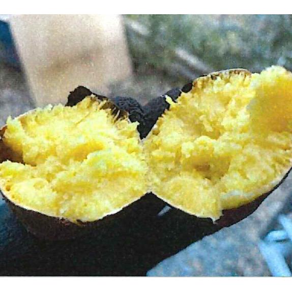 昔ながらの焼き芋「農家のおやつ」　3Kg | 