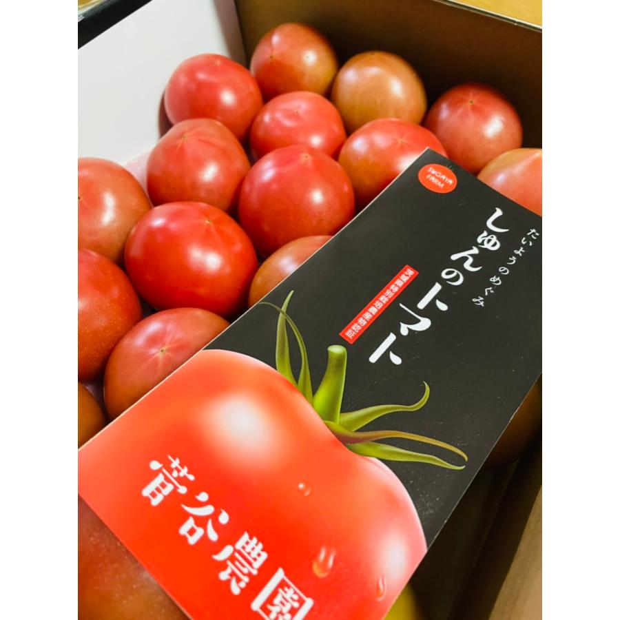 菅谷農園のしゅんのトマト 2キロ　特別栽培物認証のこだわり抜いたトマト より安全でより美味しいトマト 甘みと酸味のバランスが良いトマト | 