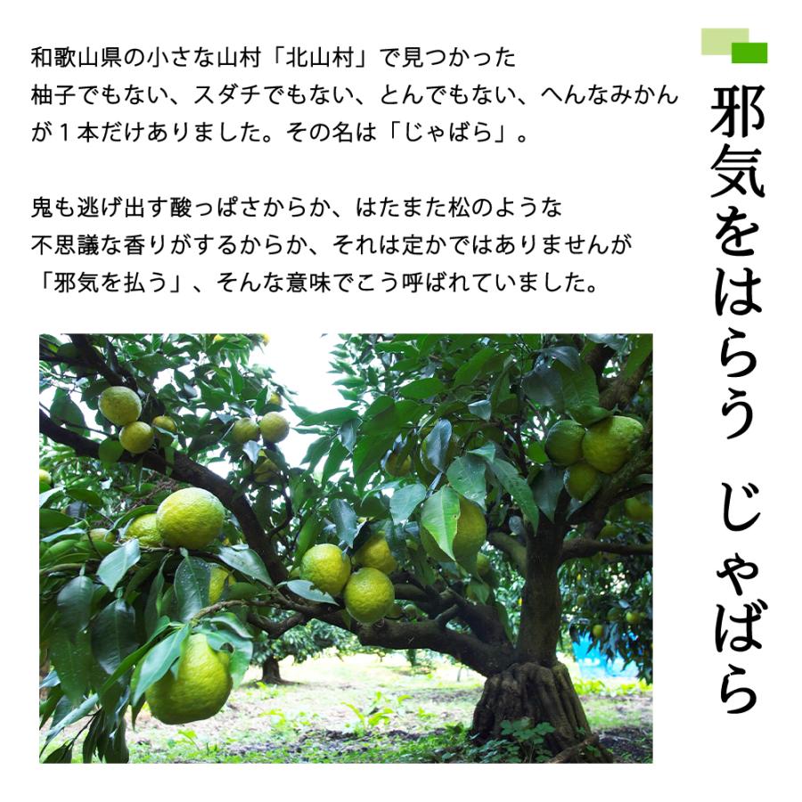 北山村のじゃばら果汁 100 300ml 2本セット 送料無料 皮ごと じゃばら 幻の果実 ぽんず ジャバラ にがうま 柑橘 Ja0008 お届けストア 通販 Yahoo ショッピング