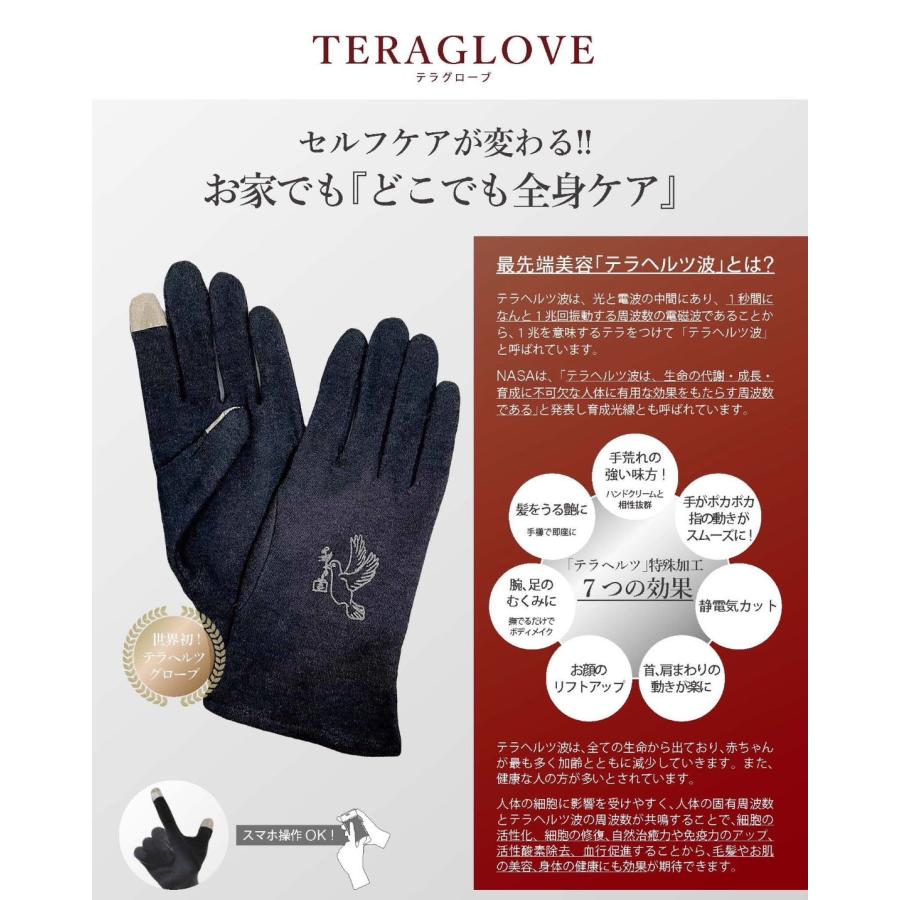 正規販売店】TERAGLOVE テラヘルツグローブ 手袋 フリーサイズ