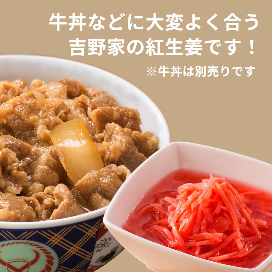 吉野家 親子丼の具【15食詰合せ+紅生姜1袋】｜otodokestore2｜05