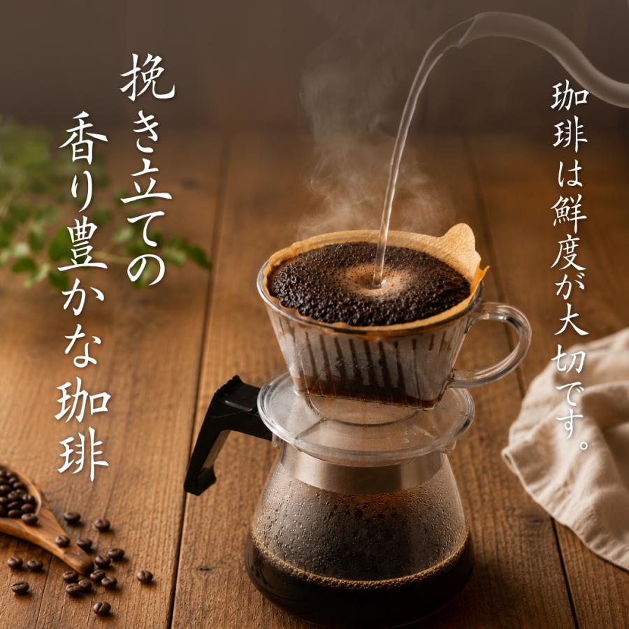 挽き立て直送 レギュラー珈琲 炭焼焙煎芳醇ブレンド 大原野 250g×2袋