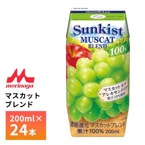 マスカット シャインマスカット | フルーツギフト・果物のネット通販｜横浜