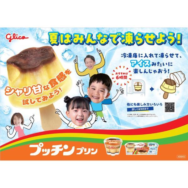 プッチンプリン 4パック入り 江崎グリコ 67g×3個 ×4パック入り チルド