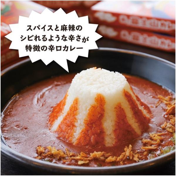 青い富士山カレー/ 赤い富士山カレー (各10食入り)20食セット 送料無料