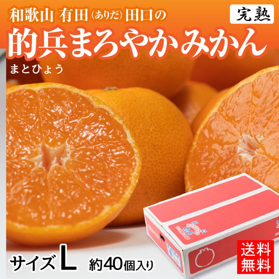 みかん様♡ありがとうございます♡ 完熟 みかん 的兵 有田 期間数量限定 5kg Lサイズ 送料無料 幻のみかん