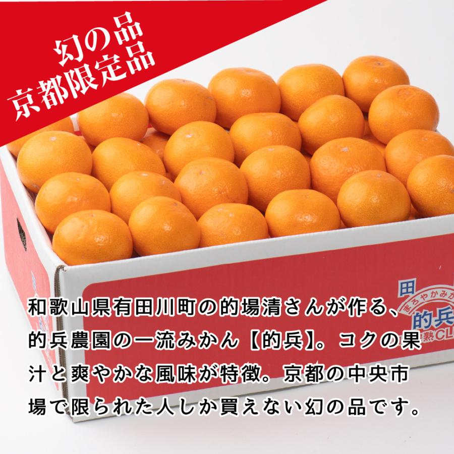 【入手困難】【L】的兵みかん/和歌山県/田口完熟CLUB/的場清/青秀5kg 完熟 みかん 的兵 有田 期間数量限定 5kg Lサイズ 送料無料 幻のみかん