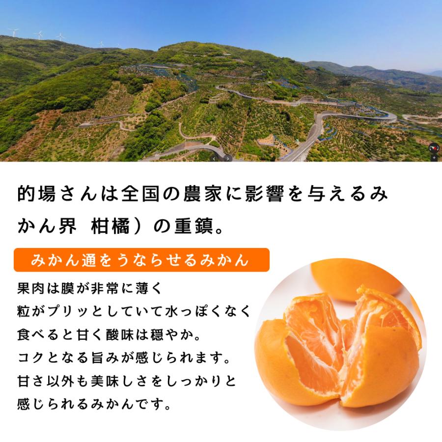 完熟 みかん 的兵 有田 期間数量限定 5kg Lサイズ 送料無料 幻のみかん