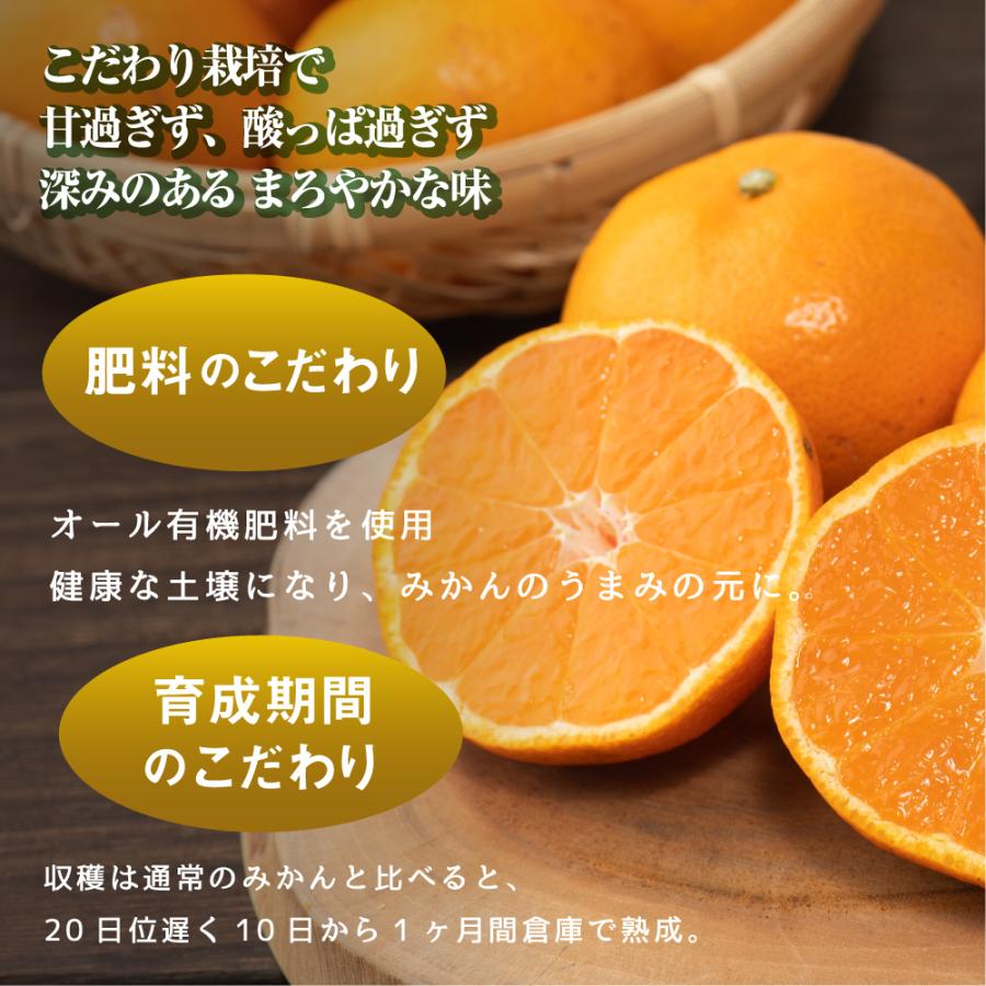 完熟 みかん 的兵 有田 期間数量限定 5kg Lサイズ 送料無料 幻のみかん