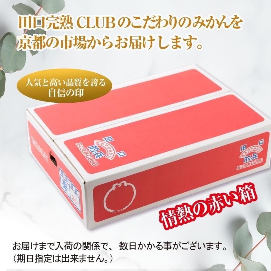 完熟 みかん 的兵 有田 期間数量限定 5kg Lサイズ 送料無料 幻のみかん