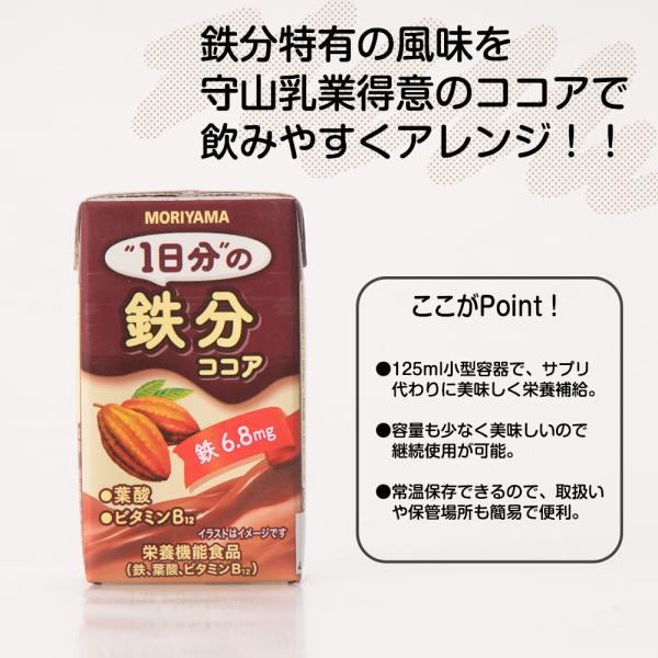 守山乳業（MORIYAMA） 2ケース選べる 1日分の鉄分ココア 125ml×48本